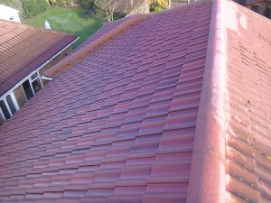 Roof-Cleaning-Witham-1-300x225